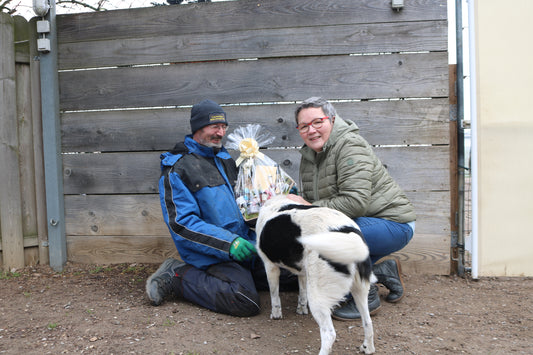 Spende an Tierschutz Wörrstadt – Hunde suchen ein Zuhause e.V. - Danke an alle Deheck-Kunden