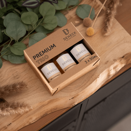 Fruchtliköre Geschenk von Deheck: 3 fruchtige Liköre Wildorange, Pfirsich und Kirsch Schoko