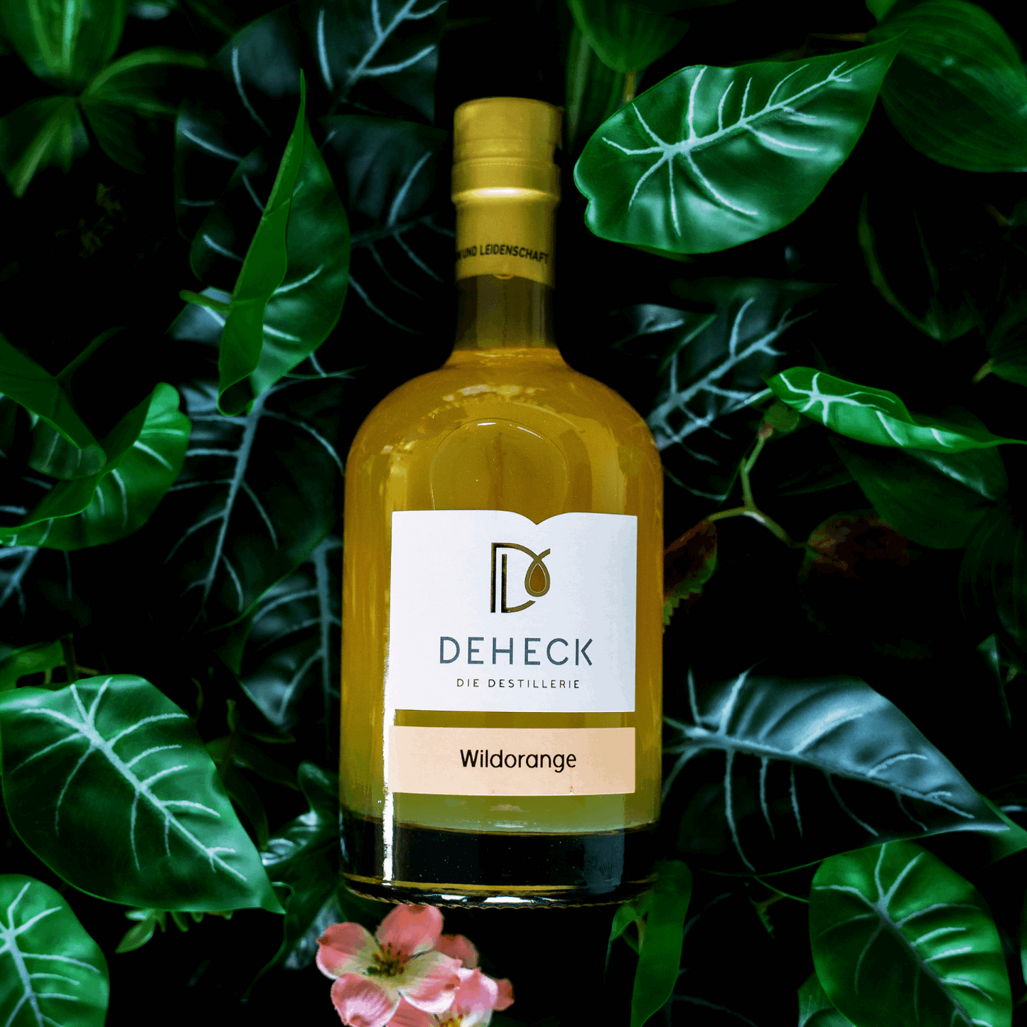 Wildorangen Likör in der 500 ml Flasche von Deheck