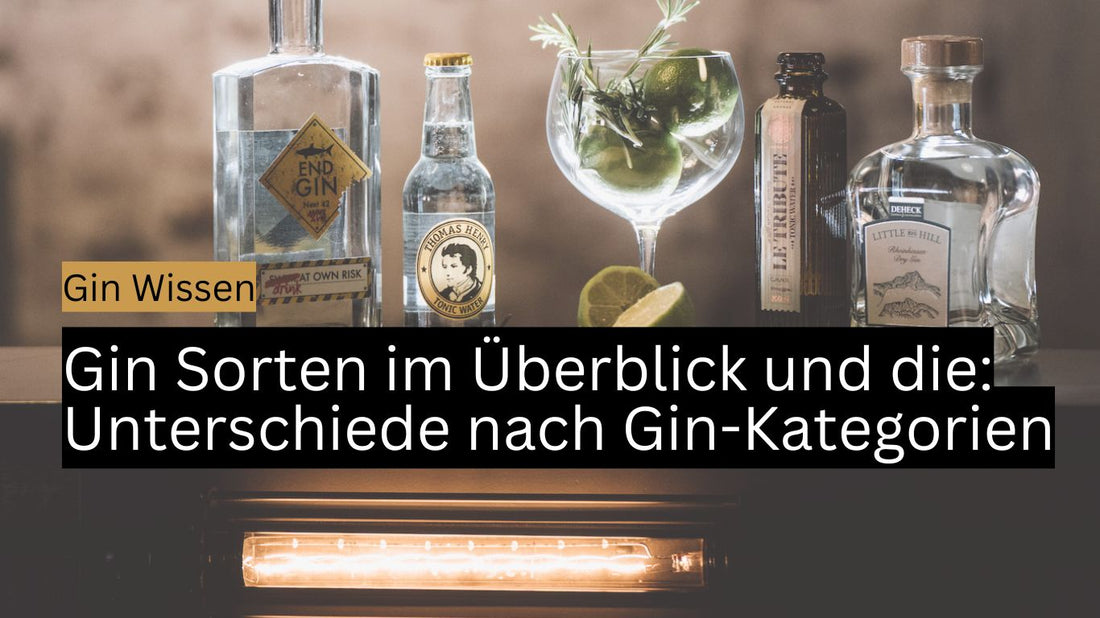 Gin Sorten und Gin Stile im Überblick: Unterschiede, die man kennen sollte