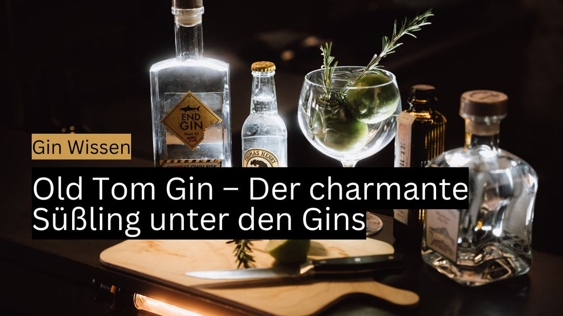 Old Tom Gin FAQ: Was du über die besondere Gin Kategorie wissen musst