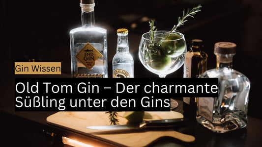 Old Tom Gin FAQ: Was du über die besondere Gin Kategorie wissen musst
