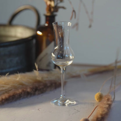 Traube Nuss Rum Likör von Deheck im Glas