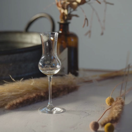 Limoncello Grappa Likör von Deheck im Glas